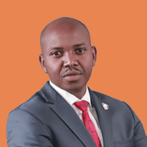 Chief Executive Officer, ICT Authority