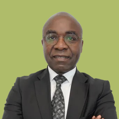 President, AfroLeadership
